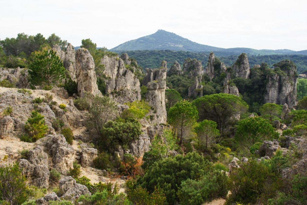 "Evasion"-Meuble De Tourisme 3 Etoiles -Residence "Les Logis De Beziers"-Garage Optionnel-Coeur De Ville-Plages A 16Km ! Εξωτερικό φωτογραφία